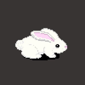 Bunny concept